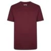 Bigdude Heavy Weight Plain T-Shirt Burgundy -Bigdude 5146ac4f bd22ts05 10 burgundy 1