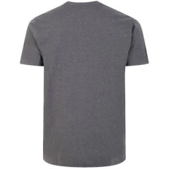 Bigdude Plain Crew Neck T-Shirt Charcoal -Bigdude 6512ad99 bd101 04 charcoal 2