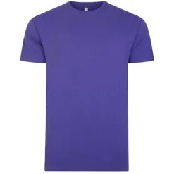 Bigdude Plain Crew Neck T-Shirt Violet -Bigdude b7ecae7d bd101 violet 1
