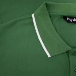 Bigdude Colour Block Pique Polo Deep Green -Bigdude cc210e56 img 8676