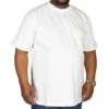 Bigdude Plain Crew Neck T-Shirt White -Bigdude img 6361 clipped rev 1
