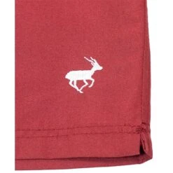 Bigdude Plain Swim Shorts Burgundy -Bigdude img 7416 clipped rev 1 1