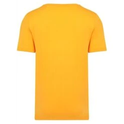 Bigdude Plain Crew Neck T-Shirt Orange -Bigdude plain crewe neck tshirt orange 3